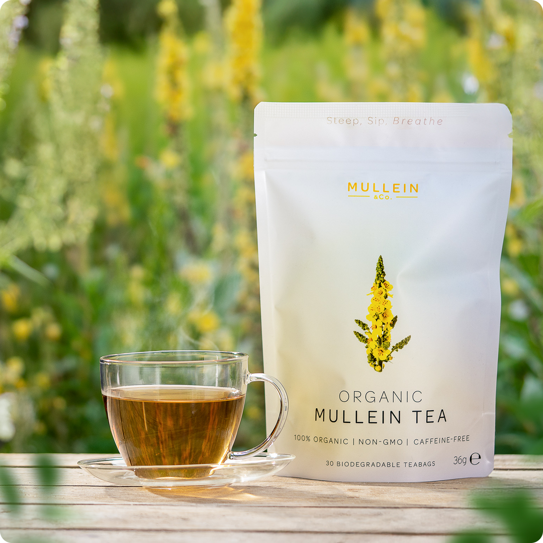 Mullein & Co. - 100% Organic Mullein Tea