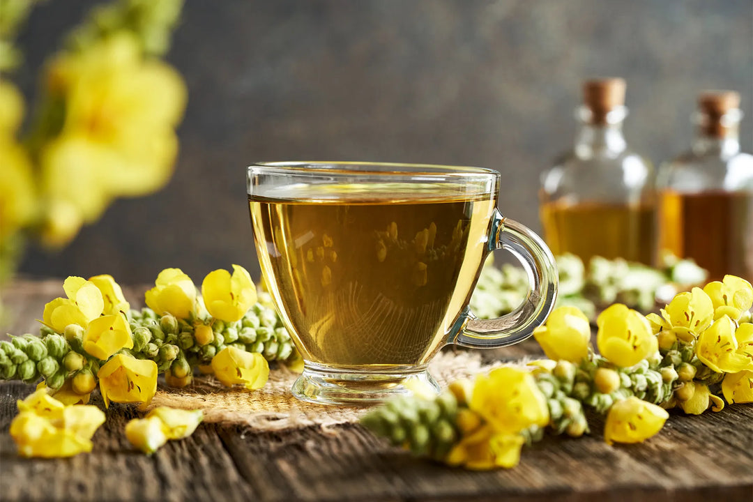 Mullein Tea Side Effects: What You Need to Know