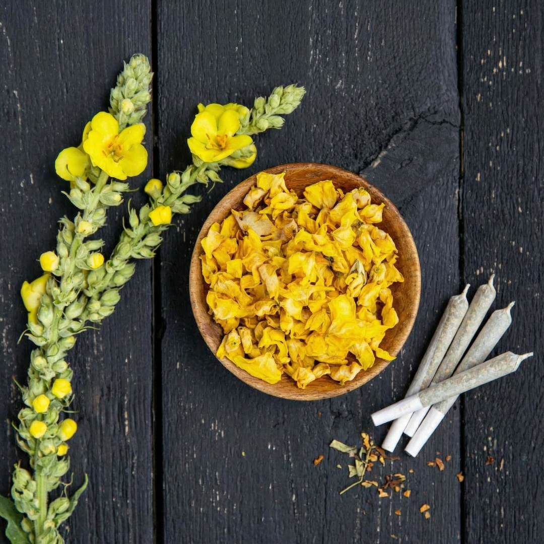 Is Mullein Tea Good For Smokers?