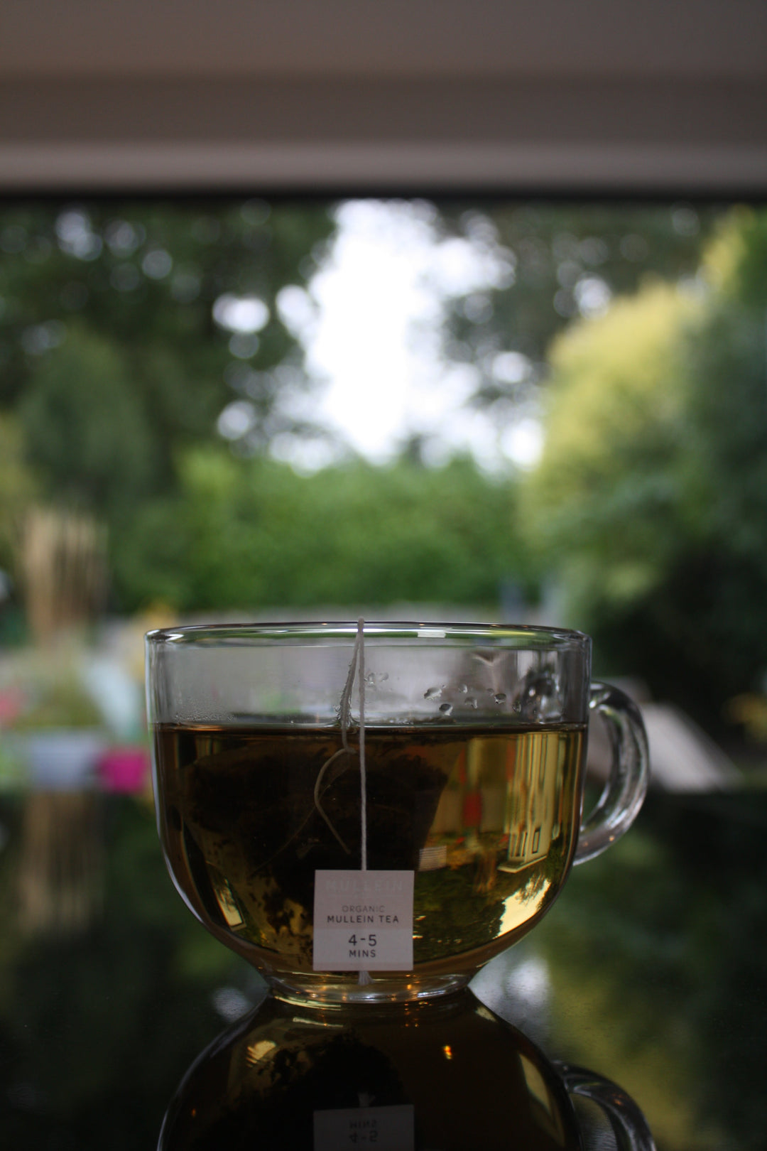 How Long Does Mullein Tea Take to Work? From The Experts!