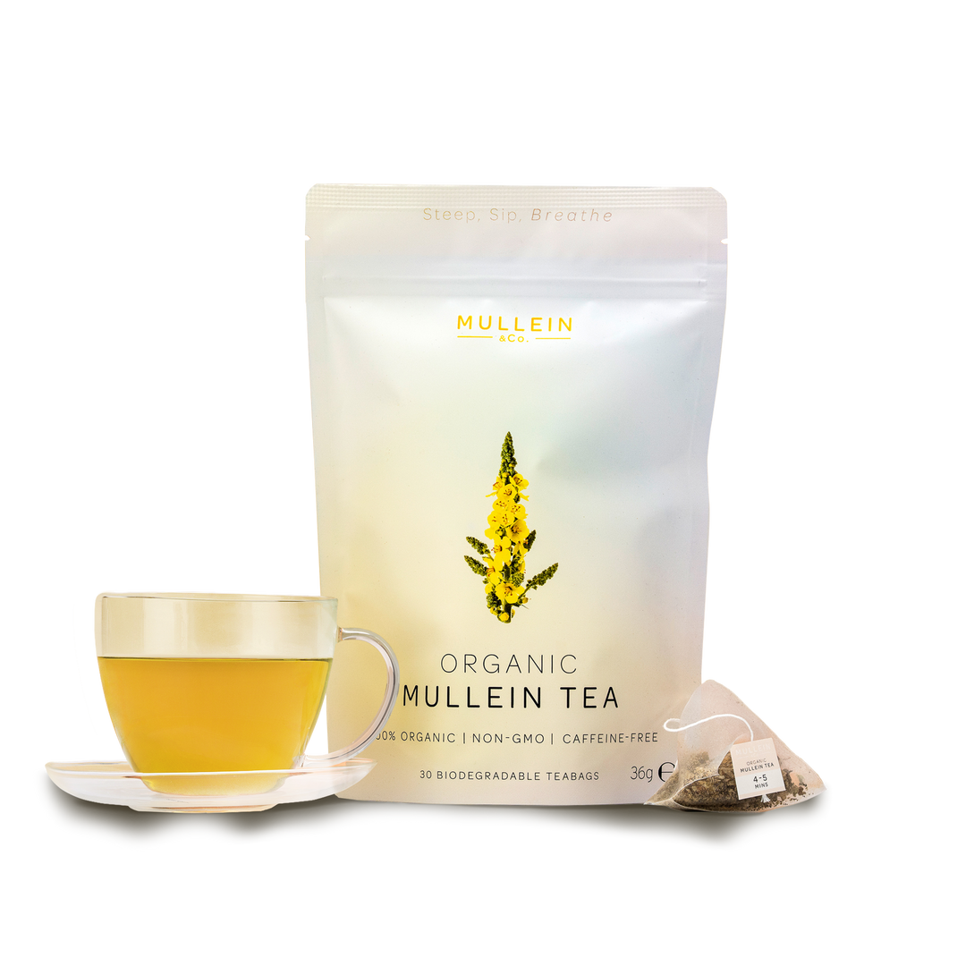 Organic Mullein Tea UK: Where to Buy and What to Look For