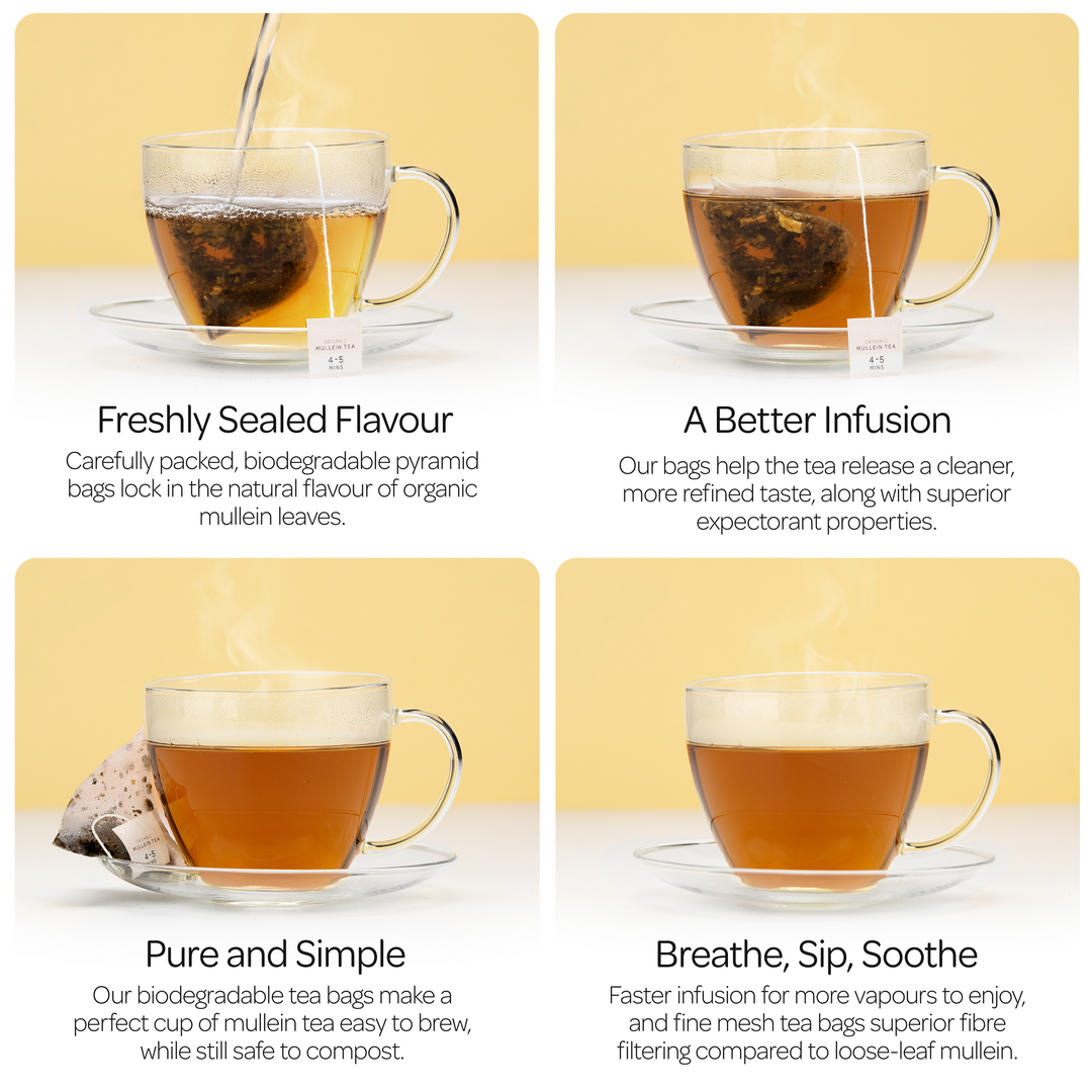 Mullein & Co. - 100% Organic Mullein Tea