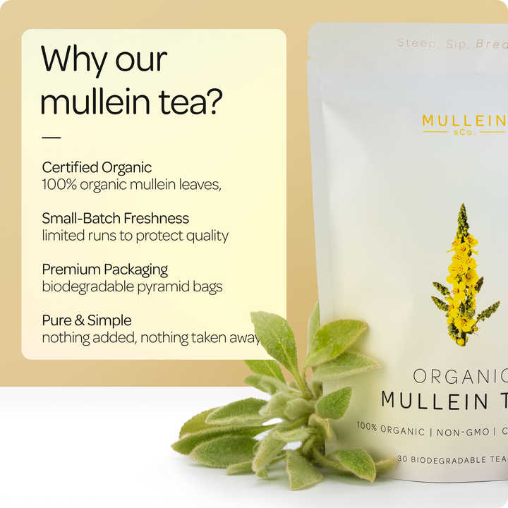 Mullein & Co. - 100% Organic Mullein Tea