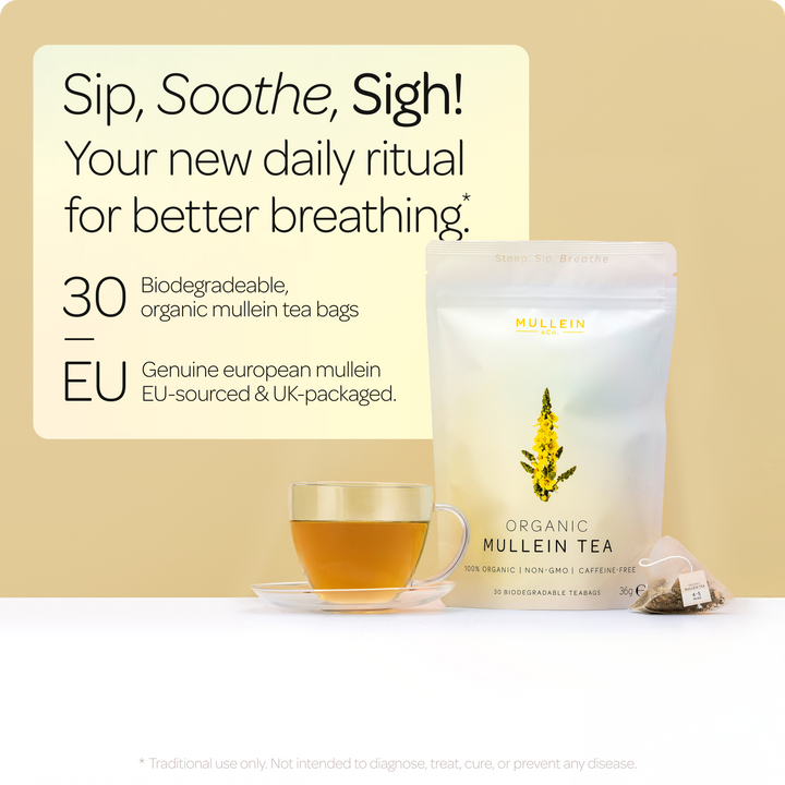 Mullein & Co. - 100% Organic Mullein Tea