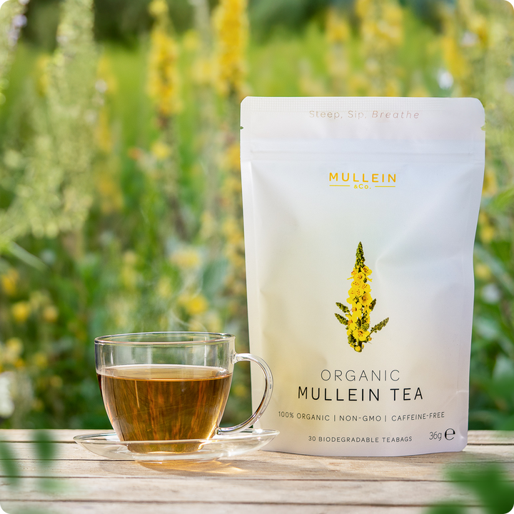 Mullein & Co. - 100% Organic Mullein Tea